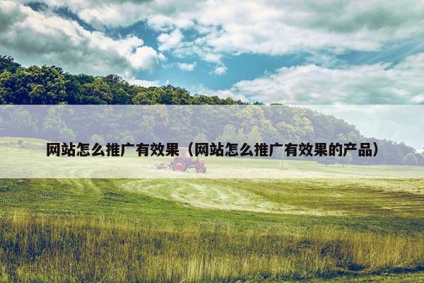 网站怎么推广有效果（网站怎么推广有效果的产品）-第1张图片-冷动云