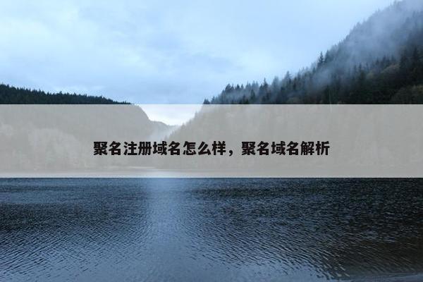 聚名注册域名怎么样，聚名域名解析-第1张图片-冷动云