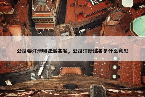 公司要注册哪些域名呢，公司注册域名是什么意思-第1张图片-冷动云