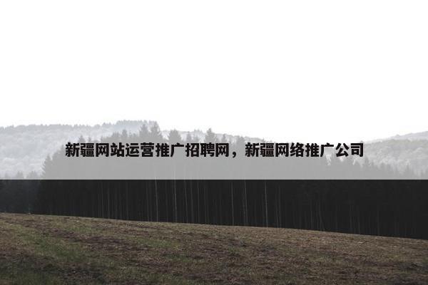 新疆网站运营推广招聘网，新疆网络推广公司-第1张图片-冷动云