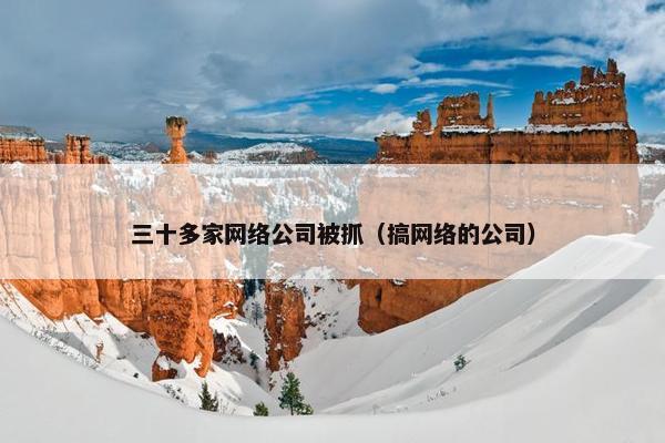 三十多家网络公司被抓（搞网络的公司）-第1张图片-冷动云
