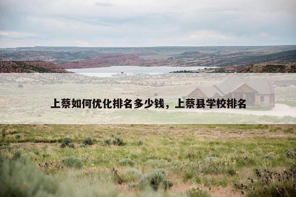 上蔡如何优化排名多少钱，上蔡县学校排名-第1张图片-冷动云