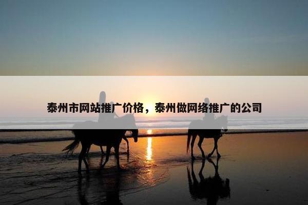泰州市网站推广价格，泰州做网络推广的公司-第1张图片-冷动云
