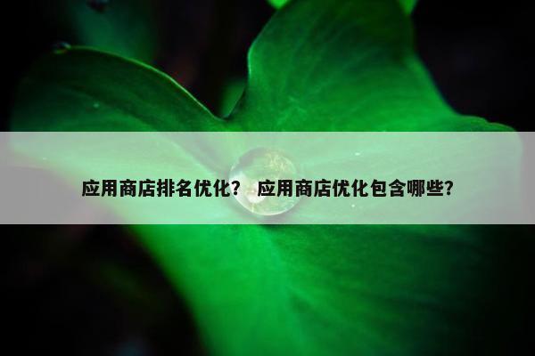 应用商店排名优化？ 应用商店优化包含哪些？-第1张图片-冷动云