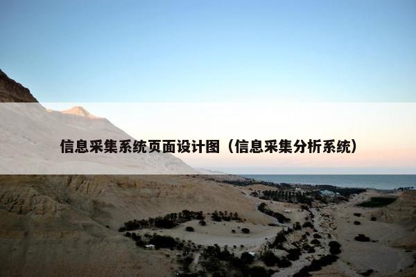 信息采集系统页面设计图（信息采集分析系统）-第1张图片-冷动云