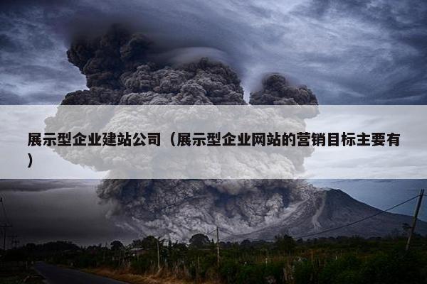 展示型企业建站公司（展示型企业网站的营销目标主要有）-第1张图片-冷动云