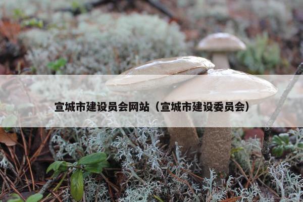 宣城市建设员会网站（宣城市建设委员会）-第1张图片-冷动云