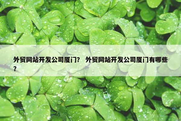 外贸网站开发公司厦门？ 外贸网站开发公司厦门有哪些？-第1张图片-冷动云