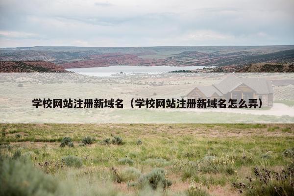 学校网站注册新域名（学校网站注册新域名怎么弄）-第1张图片-冷动云