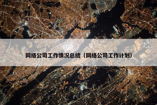 网络公司工作情况总结（网络公司工作计划）-第1张图片-冷动云