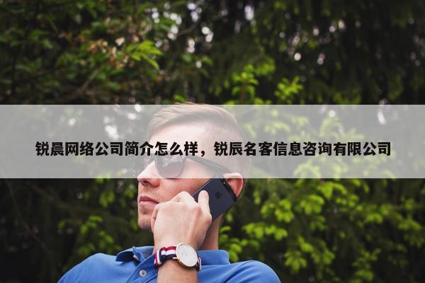 锐晨网络公司简介怎么样，锐辰名客信息咨询有限公司-第1张图片-冷动云