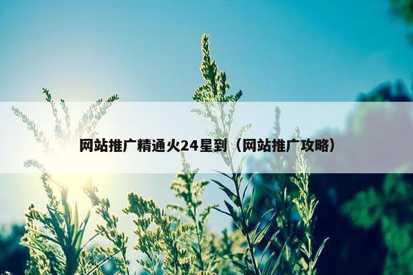 网站推广精通火24星到（网站推广攻略）-第1张图片-冷动云