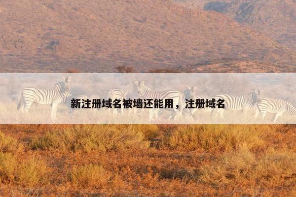 新注册域名被墙还能用，注册域名-第1张图片-冷动云