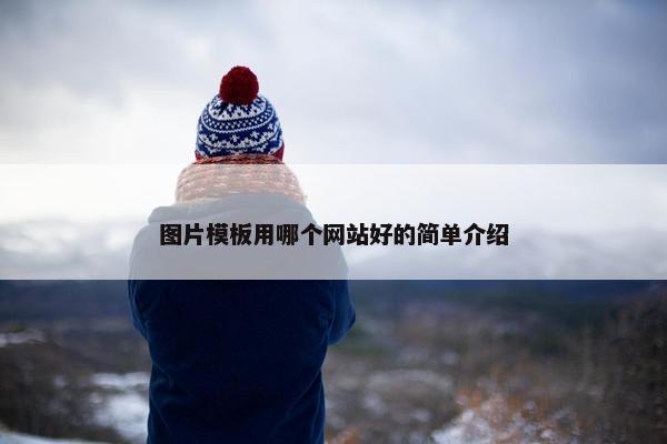 图片模板用哪个网站好的简单介绍-第1张图片-冷动云
