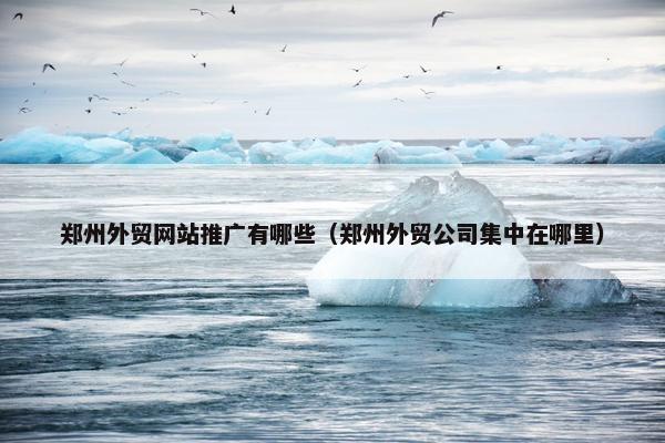 郑州外贸网站推广有哪些（郑州外贸公司集中在哪里）-第1张图片-冷动云