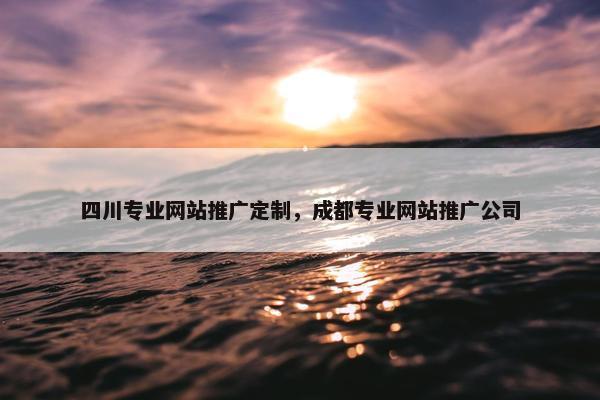四川专业网站推广定制，成都专业网站推广公司-第1张图片-冷动云