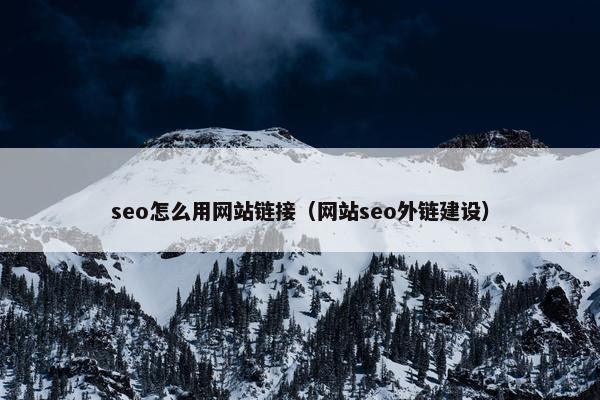 seo怎么用网站链接（网站seo外链建设）-第1张图片-冷动云
