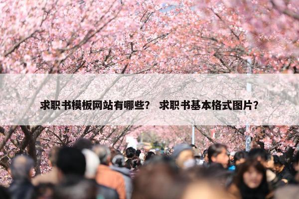求职书模板网站有哪些？ 求职书基本格式图片？-第1张图片-冷动云