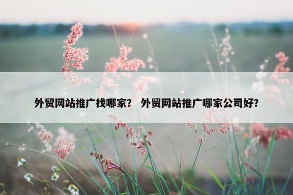 外贸网站推广找哪家？ 外贸网站推广哪家公司好？-第1张图片-冷动云