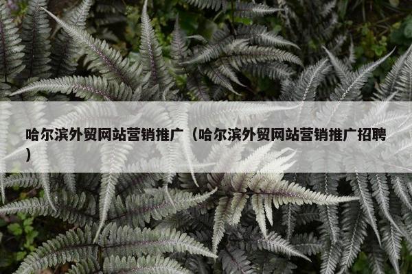 哈尔滨外贸网站营销推广（哈尔滨外贸网站营销推广招聘）-第1张图片-冷动云