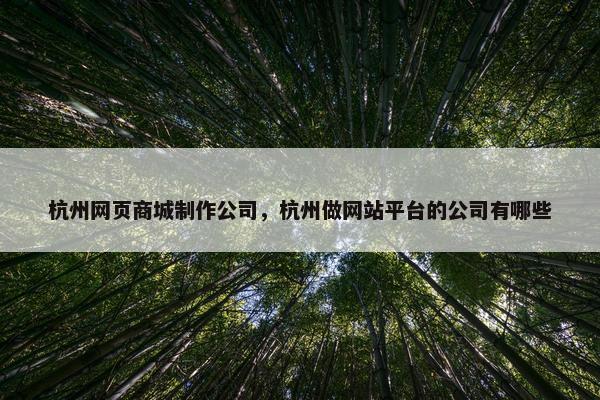 杭州网页商城制作公司，杭州做网站平台的公司有哪些-第1张图片-冷动云