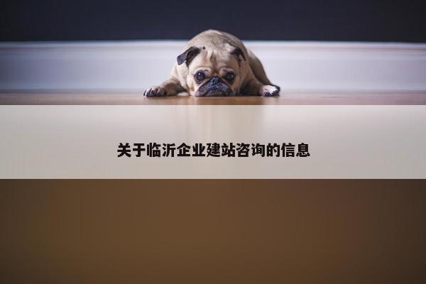 关于临沂企业建站咨询的信息-第1张图片-冷动云