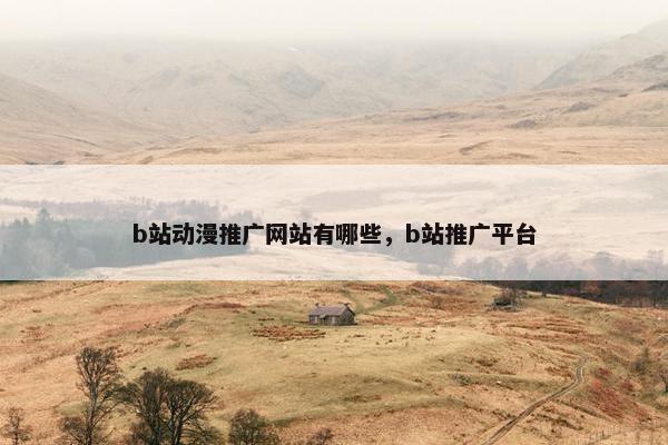 b站动漫推广网站有哪些，b站推广平台-第1张图片-冷动云