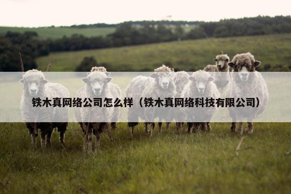 铁木真网络公司怎么样（铁木真网络科技有限公司）-第1张图片-冷动云