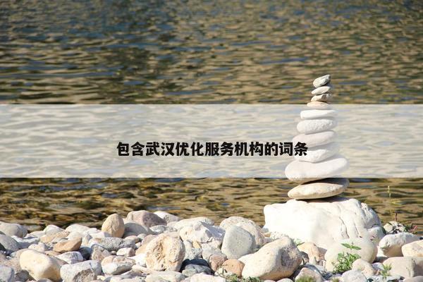 包含武汉优化服务机构的词条-第1张图片-冷动云