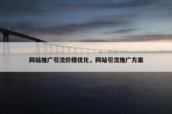 网站推广引流价格优化，网站引流推广方案-第1张图片-冷动云