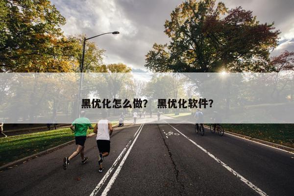 黑优化怎么做？ 黑优化软件？-第1张图片-冷动云