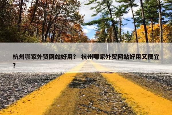 杭州哪家外贸网站好用？ 杭州哪家外贸网站好用又便宜？-第1张图片-冷动云