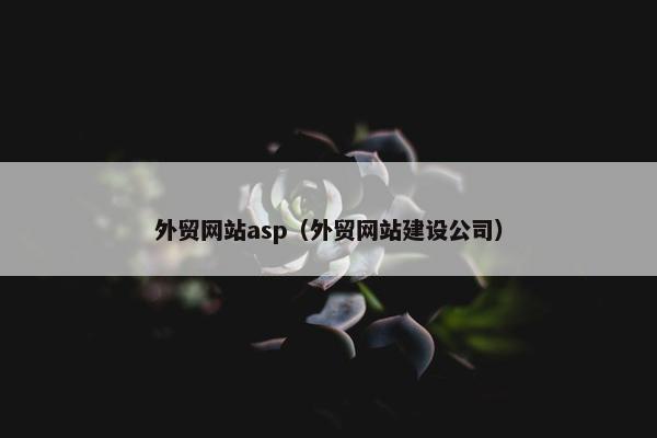 外贸网站asp（外贸网站建设公司）-第1张图片-冷动云