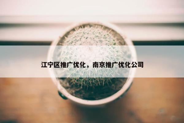 江宁区推广优化，南京推广优化公司-第1张图片-冷动云