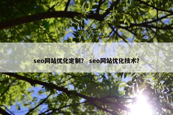 seo网站优化定制？ seo网站优化技术？-第1张图片-冷动云