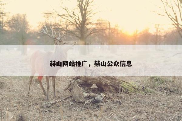 赫山网站推广，赫山公众信息-第1张图片-冷动云