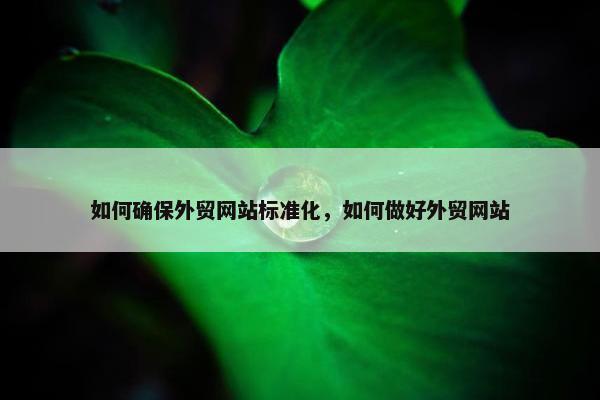 如何确保外贸网站标准化，如何做好外贸网站-第1张图片-冷动云