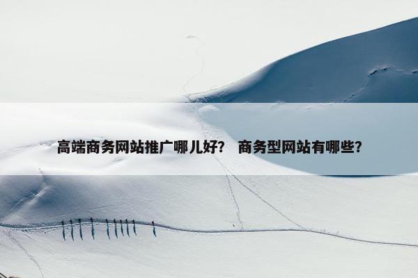 高端商务网站推广哪儿好？ 商务型网站有哪些？-第1张图片-冷动云