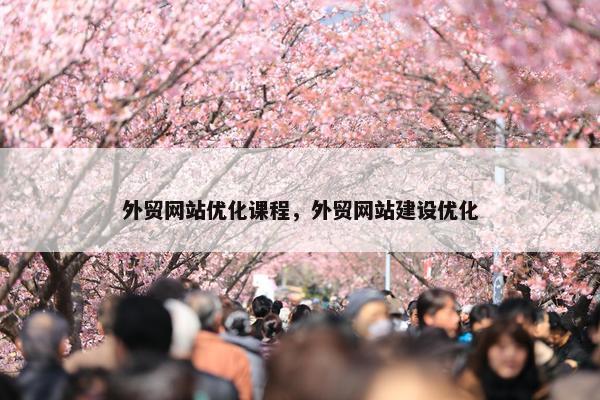 外贸网站优化课程，外贸网站建设优化-第1张图片-冷动云