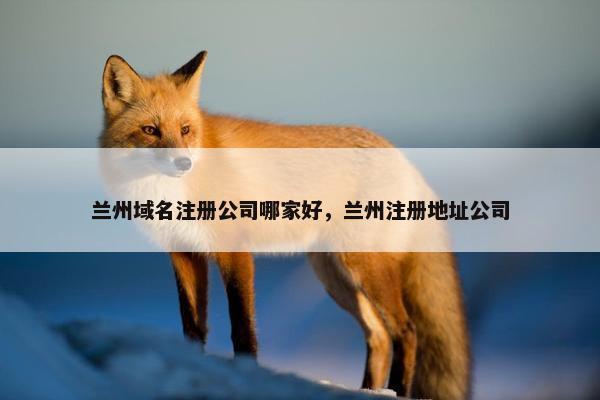 兰州域名注册公司哪家好，兰州注册地址公司-第1张图片-冷动云