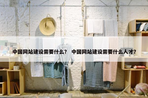 中国网站建设需要什么？ 中国网站建设需要什么人才？-第1张图片-冷动云