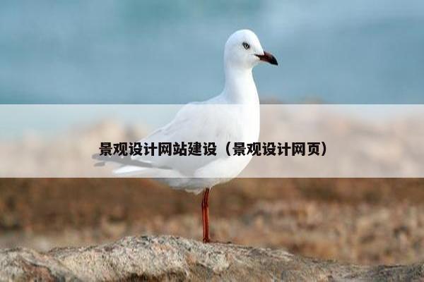景观设计网站建设（景观设计网页）-第1张图片-冷动云