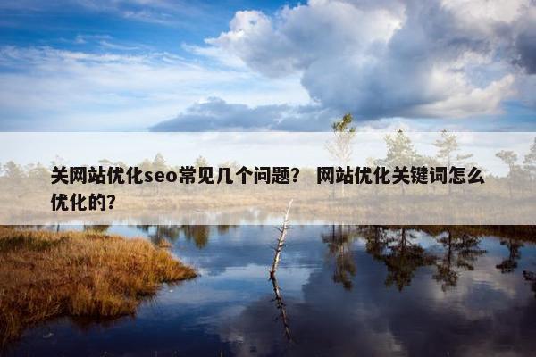 关网站优化seo常见几个问题？ 网站优化关键词怎么优化的？-第1张图片-冷动云