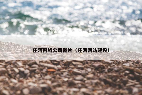 庄河网络公司图片（庄河网站建设）-第1张图片-冷动云