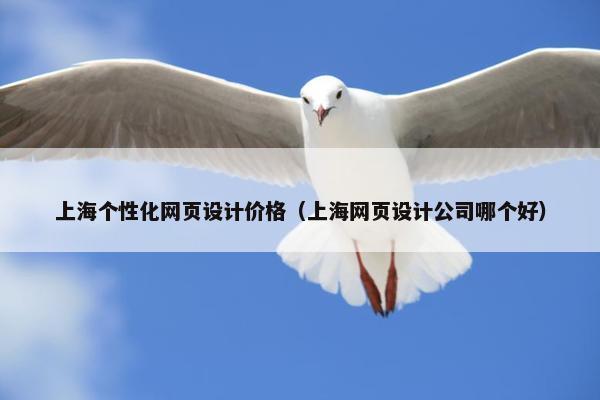 上海个性化网页设计价格（上海网页设计公司哪个好）-第1张图片-冷动云
