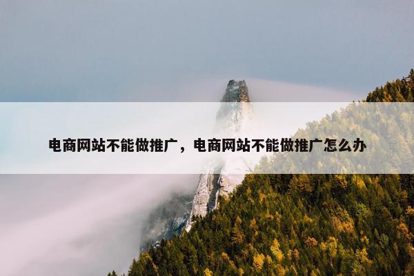 电商网站不能做推广，电商网站不能做推广怎么办-第1张图片-冷动云