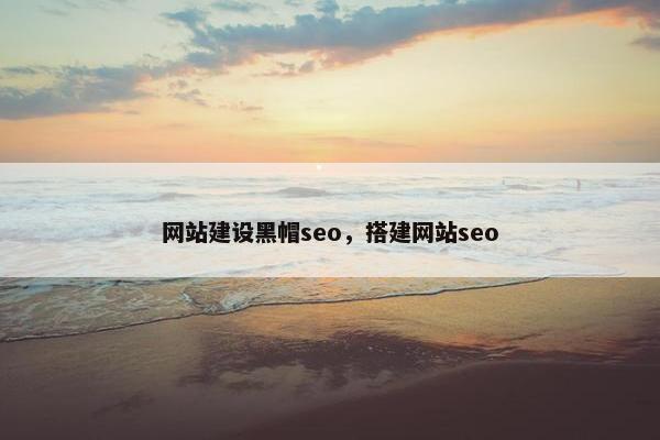 网站建设黑帽seo，搭建网站seo-第1张图片-冷动云