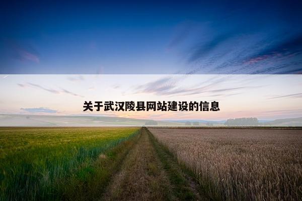 关于武汉陵县网站建设的信息-第1张图片-冷动云