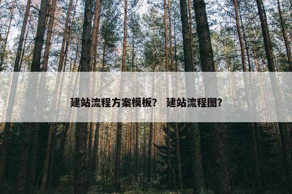 建站流程方案模板？ 建站流程图？-第1张图片-冷动云