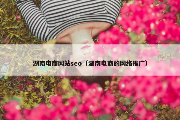 湖南电商网站seo（湖南电商的网络推广）-第1张图片-冷动云